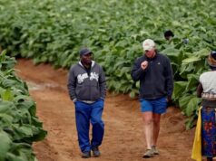 Zimbabwe to Compensate Black and White Farmers for Taking Over Land