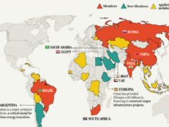 The Expanding BRICS: A New Horizon for Africa?