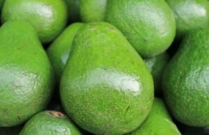 Tanzania Sends First Consignment of Avocados to China