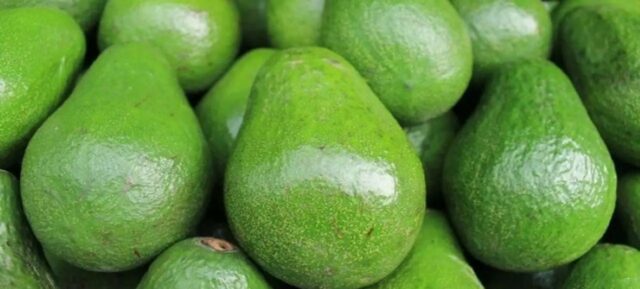 Tanzania Sends First Consignment of Avocados to China