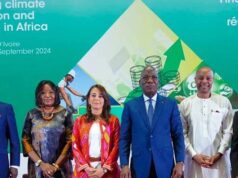 Panellists at COP29 Focus on Green Development in Africa: Urge More Commitment of Funds