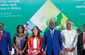 Panellists at COP29 Focus on Green Development in Africa: Urge More Commitment of Funds