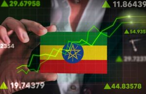 Ethiopia’s Investment Commission Issues 108 New Licenses During Current Fiscal