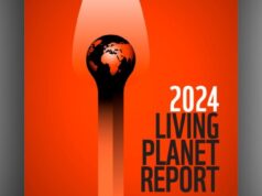 WWF’s 2024 Living Planet Report: Africa's Wildlife Shrank by 76% in 50 Years