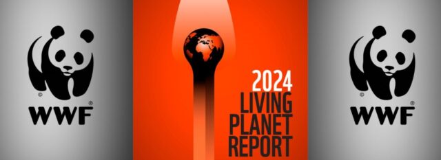 WWF’s 2024 Living Planet Report: Africa's Wildlife Shrank by 76% in 50 Years