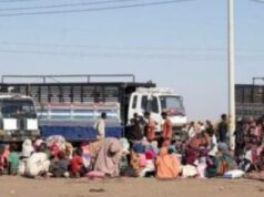 Thousands Displaced as Violence Escalates in Sudan’s Al-Jazirah State