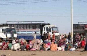 Thousands Displaced as Violence Escalates in Sudan’s Al-Jazirah State