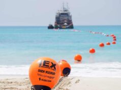 Telecom Egypt Enhances Connectivity with New Submarine Cable