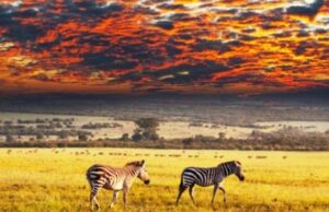 Resurgent African Tourism