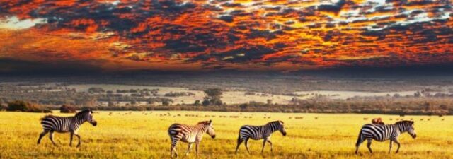 Resurgent African Tourism