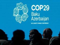 COP 29: Africa's Unmet Expectations