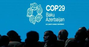 COP 29: Africa's Unmet Expectations