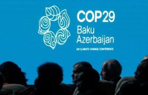 COP 29: Africa's Unmet Expectations