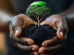 Africa’s Green Economy to Create 3.3 million Jobs by 2030