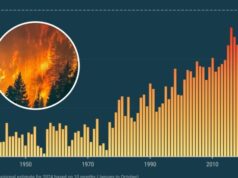 2024 Hottest Year Ever Measured? 