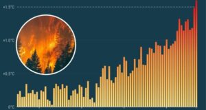 2024 Hottest Year Ever Measured? 