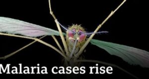 Global Malaria Cases Spike