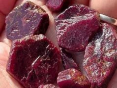 Columbia Gem House demanded USD 309bn for rubies exported from Malawi