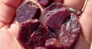 Columbia Gem House demanded USD 309bn for rubies exported from Malawi