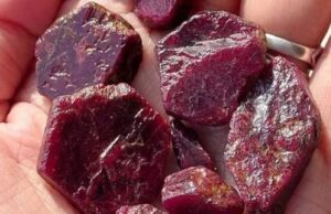 Columbia Gem House demanded USD 309bn for rubies exported from Malawi