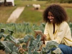 Rwanda Implements Digital Soil Information System to Modernize Farming Practices