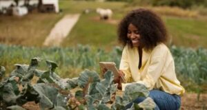 Rwanda Implements Digital Soil Information System to Modernize Farming Practices