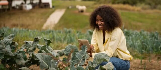 Rwanda Implements Digital Soil Information System to Modernize Farming Practices