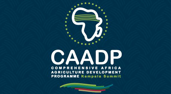 AU's Strategic Initiative: Aiming for Agricultural Transformation and Food Security in Africa