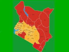 16 Counties in Kenya Registers Higher GDP Than National Average