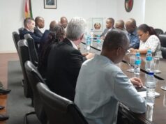 Mozambiquan Government Meets Businessmen SA to Normalize Trade