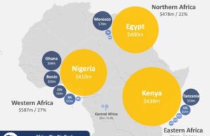 Kenya Emerges as Africa's Startup Hub with USD 638 Million in Investments in 2024