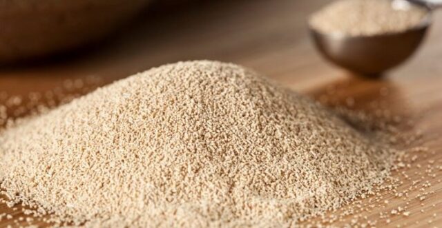 Yeast Lesaffre Egypt to manufacture Yeast in Egypt