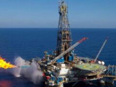 Egypt to Focus on Development Activities in Zohr Gas Field  