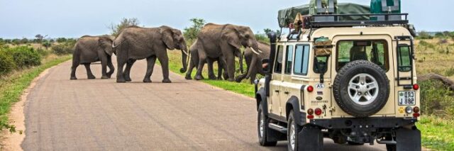 Botswana Botswana to Participate in AYTIS in Nairobi