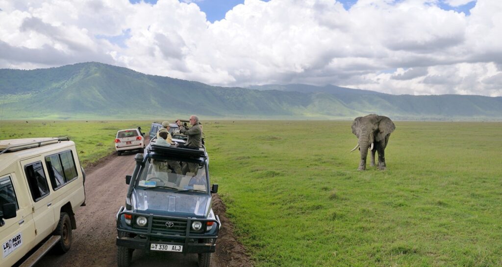 Tanzania Sees Unprecedented Surge: 5.36 million Tourists in 2024