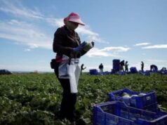 Migrant Labor Makes a Positive Difference in Spain