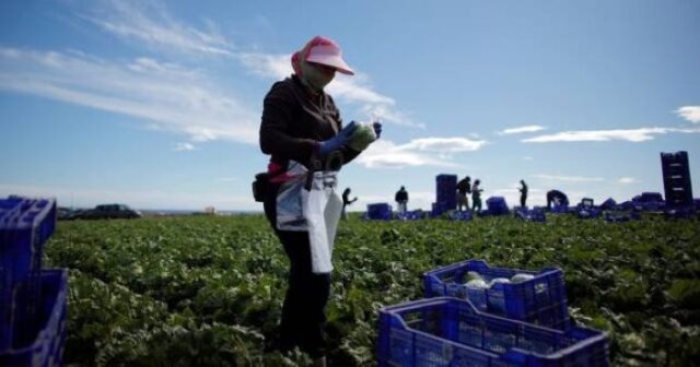 migrant workers Spain Migrant Labor Makes a Positive Difference in Spain