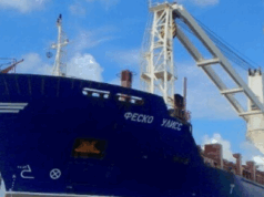 Russia to Launch New Shipping Line to Boost Trade with Africa, Including Grain from Occupied Ukraine