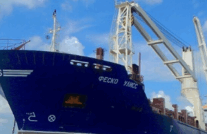 Russia to Launch New Shipping Line to Boost Trade with Africa, Including Grain from Occupied Ukraine