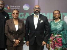 The President of the Nigerian Gas Association (NGA), Akachukwu Nwokedi, announced that Nigeria’s gas sector secured over USD 5 billion in fresh investments as of 2024.