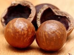 Zero-Tariff Access: China Opens Doors for Zambian Macadamia Exports