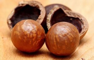 Zero-Tariff Access: China Opens Doors for Zambian Macadamia Exports