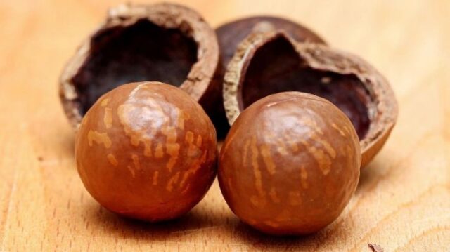 Macadamia Zero-Tariff Access: China Opens Doors for Zambian Macadamia Exports
