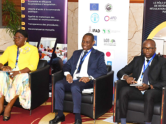 As part of the modernisation efforts, Benin has enacted a Public-Private Partnership (PPP) law and established two regulatory bodies—the National Directorate of Public Procurement (DNMP) and the National Commission for Public Procurement Regulation (CNRMP)—to oversee procurement processes.