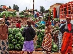 anzania has imposed a sweeping ban on agricultural imports from South Africa and Malawi, intensifying a long-running trade standoff that could significantly disrupt regional supply chains and market access. Agriculture Minister Hussein Bashe announced the measure, citing the need to safeguard Tanzania’s commercial interests amid persistent trade barriers from both nations.