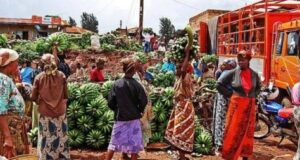 anzania has imposed a sweeping ban on agricultural imports from South Africa and Malawi, intensifying a long-running trade standoff that could significantly disrupt regional supply chains and market access. Agriculture Minister Hussein Bashe announced the measure, citing the need to safeguard Tanzania’s commercial interests amid persistent trade barriers from both nations.