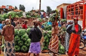 anzania has imposed a sweeping ban on agricultural imports from South Africa and Malawi, intensifying a long-running trade standoff that could significantly disrupt regional supply chains and market access. Agriculture Minister Hussein Bashe announced the measure, citing the need to safeguard Tanzania’s commercial interests amid persistent trade barriers from both nations.