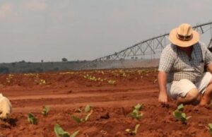 White Farmers in Zimbabwe to Get Compensation for Land Takeover