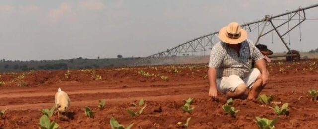White farmers White Farmers in Zimbabwe to Get Compensation for Land Takeover