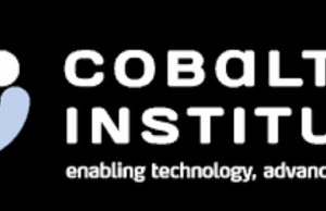 The Cobalt Institute, which brings together manufacturers in the sector, says demand this year could increase by more than 10%. Global demand could reach as much as 227,000 tonnes, 11% more than last year. In comparison, 2024 saw an increase of 4% on the previous year.